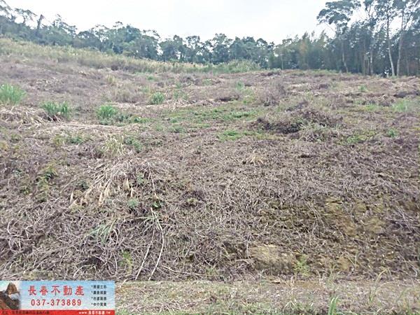 苗栗大湖農地-7