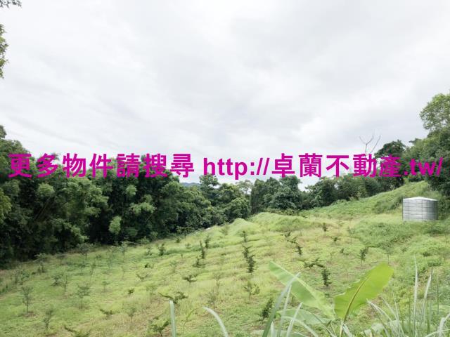卓蘭農地-1