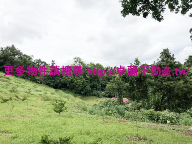 卓蘭農地-5