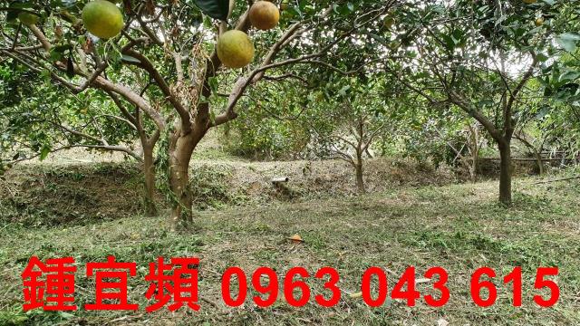 新竹芎林農地-10