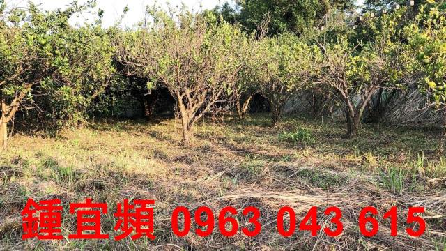 新竹芎林農地-6