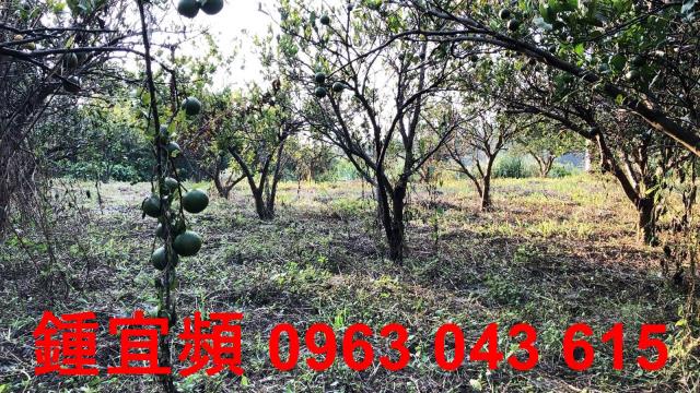 新竹芎林農地-7