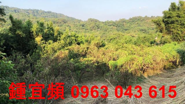 新竹芎林農地-8