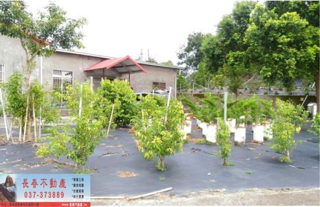 苗栗卓蘭農地-2