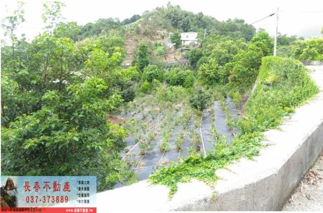 苗栗卓蘭農地-3