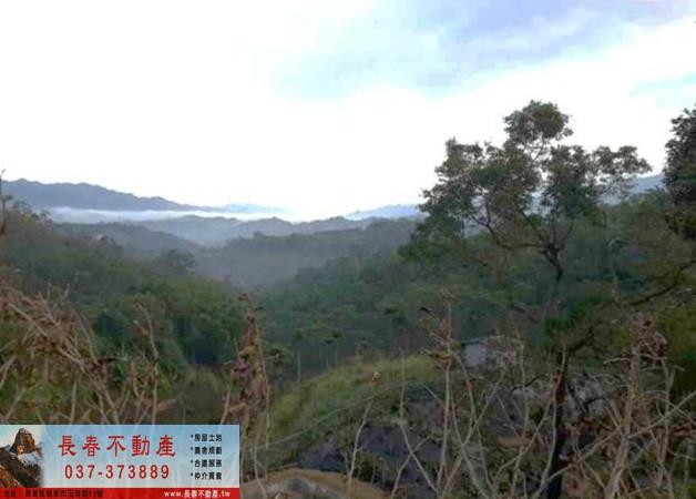 苗栗卓蘭農地-8