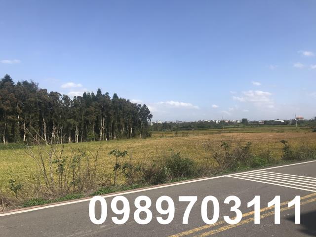 桃園新屋農地-2