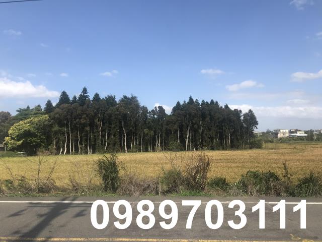 桃園新屋農地-6