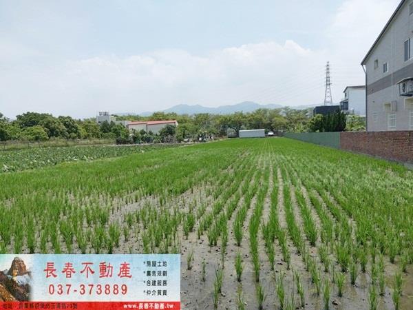 苗栗市農地-1