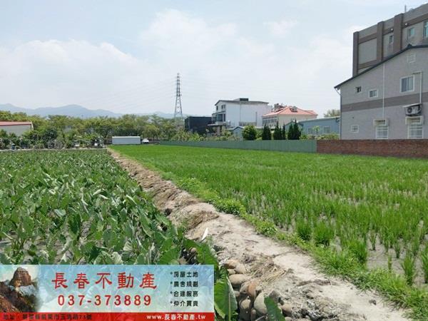 苗栗市農地-2