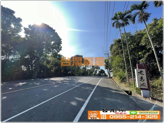 嘉義番路農地-5