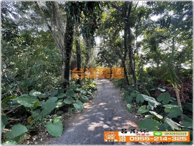 嘉義番路農地-6