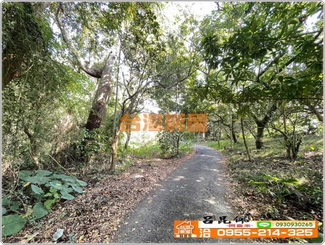 嘉義番路農地-7