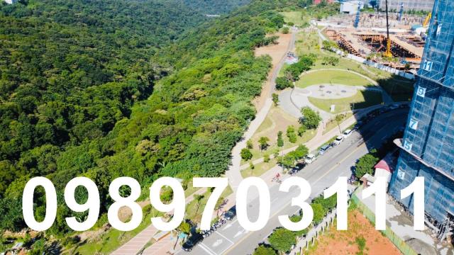 桃園龜山農地-2