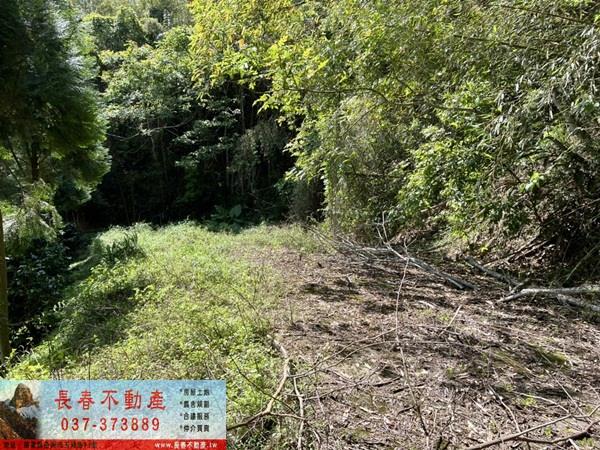 苗栗獅潭農地-1