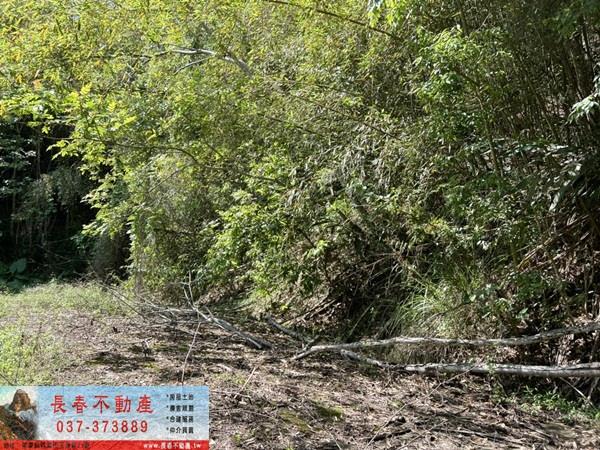 苗栗獅潭農地-2