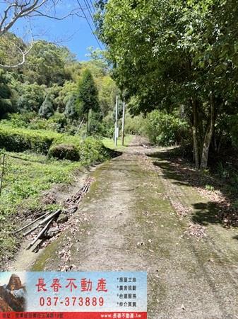 苗栗獅潭農地-3