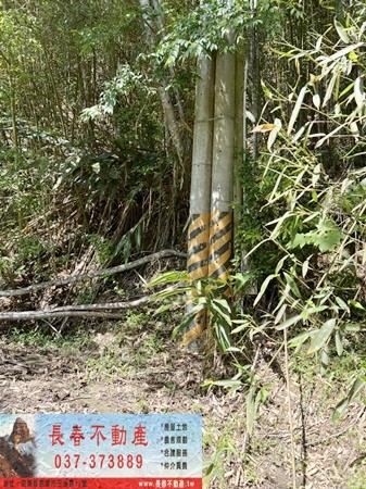 苗栗獅潭農地-4