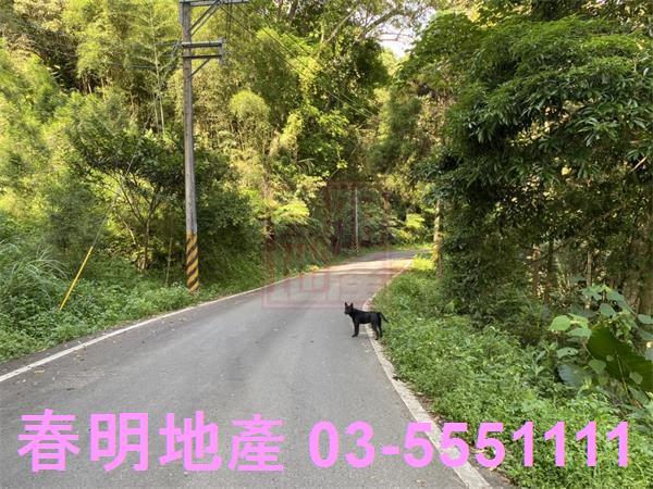 新竹橫山農地-1