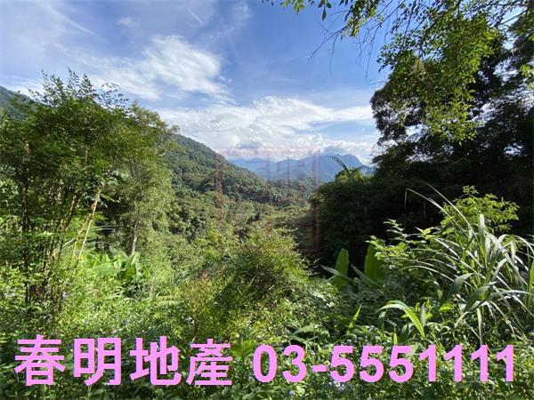 新竹橫山農地-6