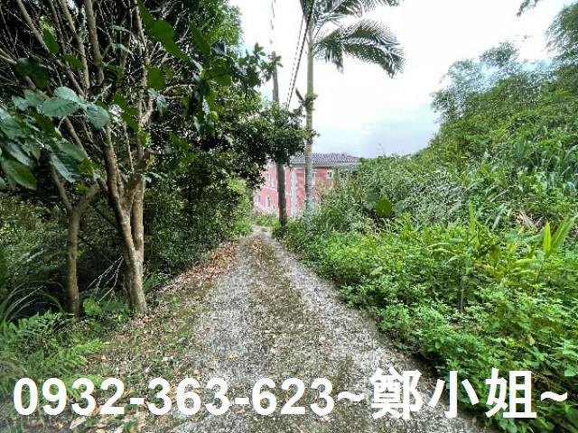 大溪農地-10