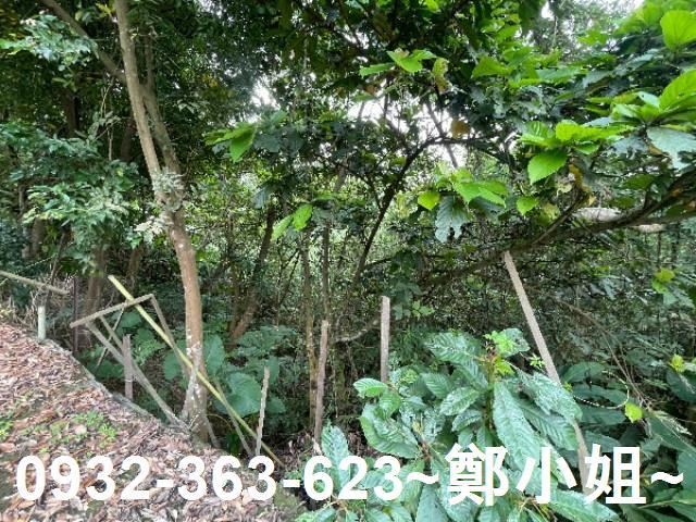 大溪農地-13