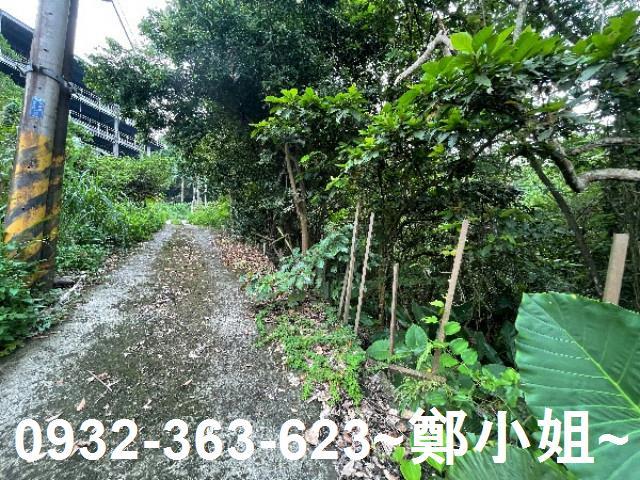 大溪農地-14