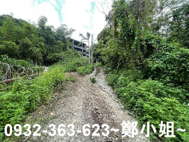 大溪農地-15