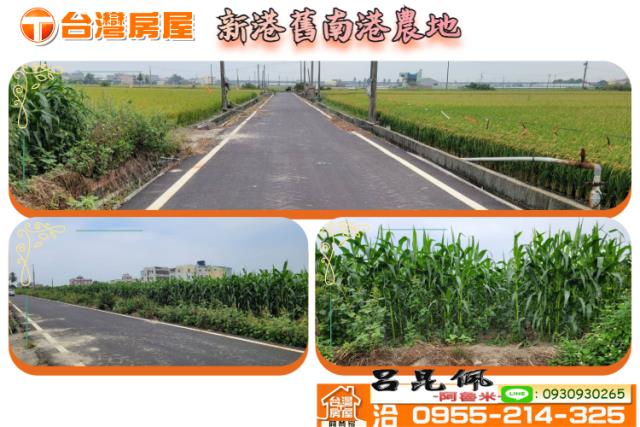 新港農地-1