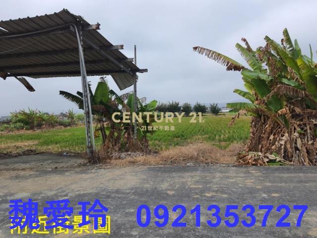 彰化芬園農地-10