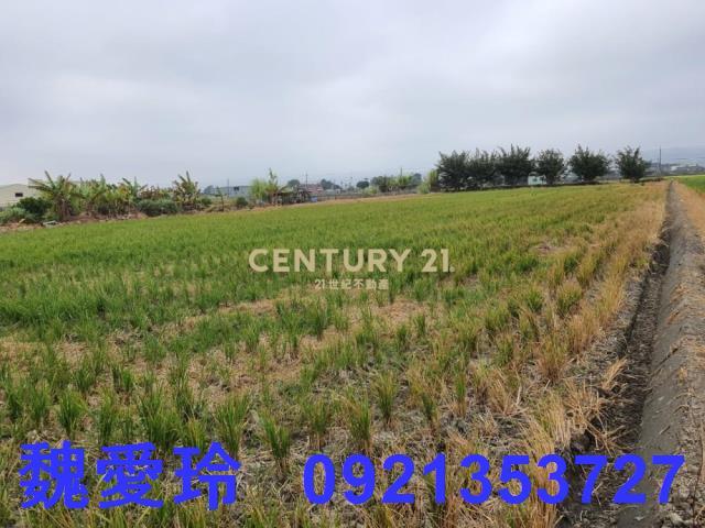 彰化芬園農地-1