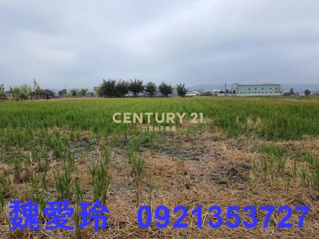 彰化芬園農地-2