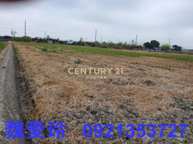彰化芬園農地-3