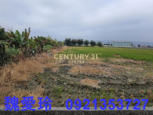 彰化芬園農地-5