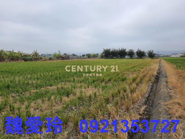 彰化芬園農地-6