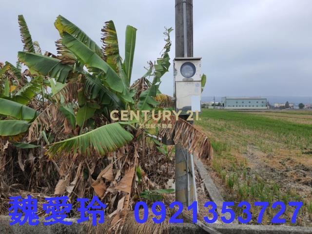 彰化芬園農地-8