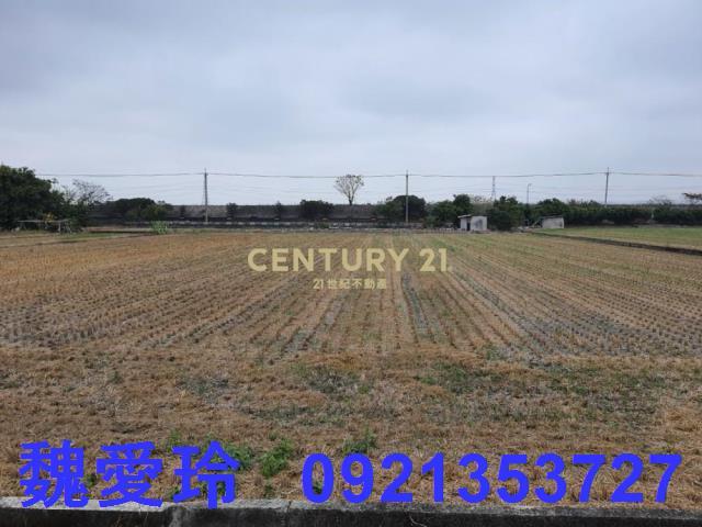 彰化芬園農地-9