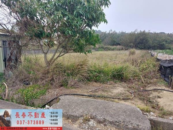 後龍農地-2
