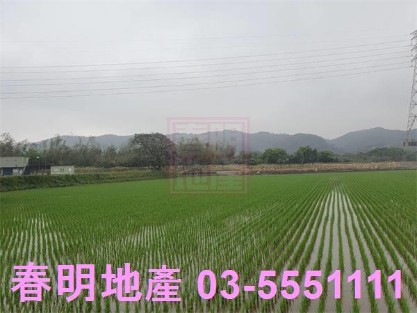 新竹新埔農地-1