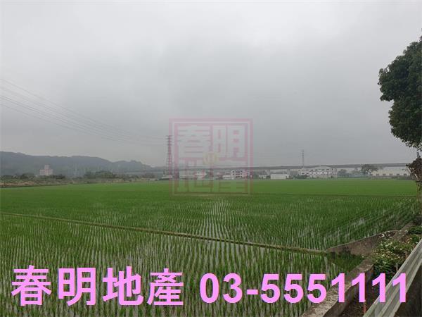 新竹新埔農地-4