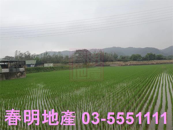 新竹新埔農地-5