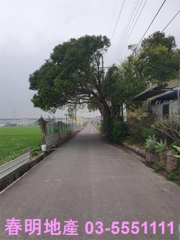 新竹新埔農地-6