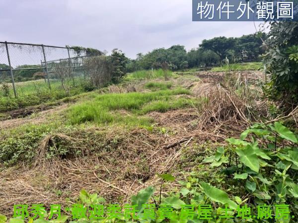 新北三芝農地-3