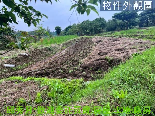 新北三芝農地-4
