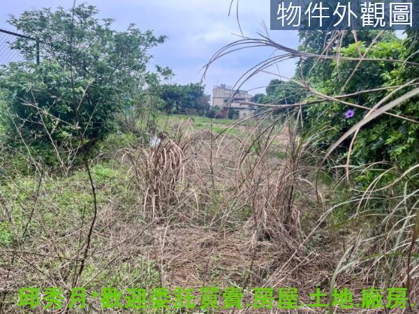 新北三芝農地-6