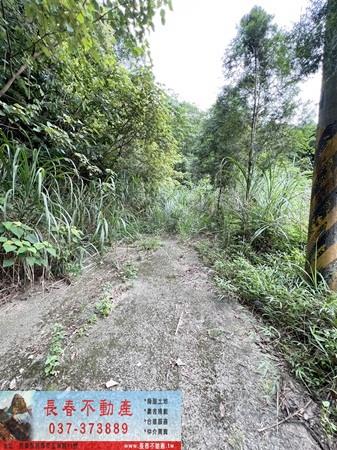 苗栗農地-7