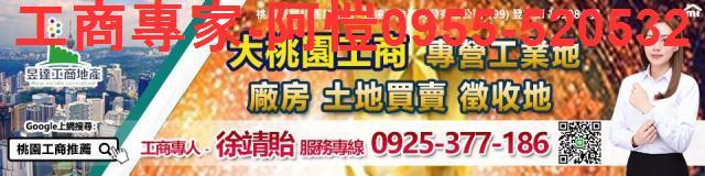 桃園建地-4