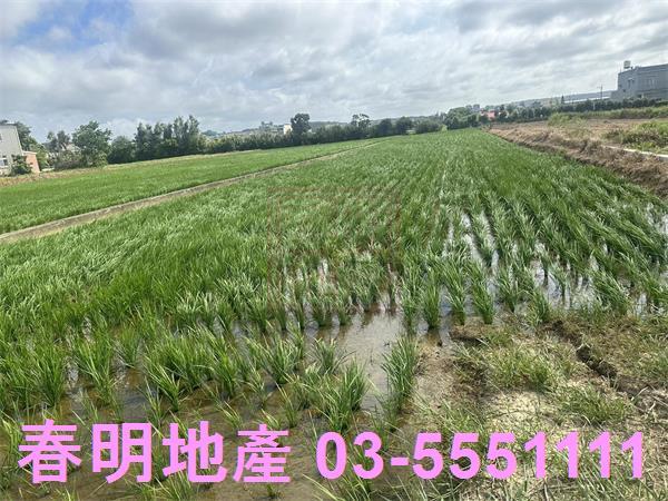 新竹新豐農地-1