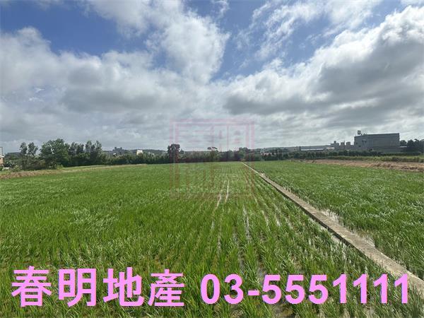 新竹新豐農地-4