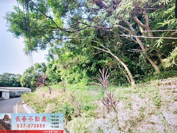 新竹香山農地-2